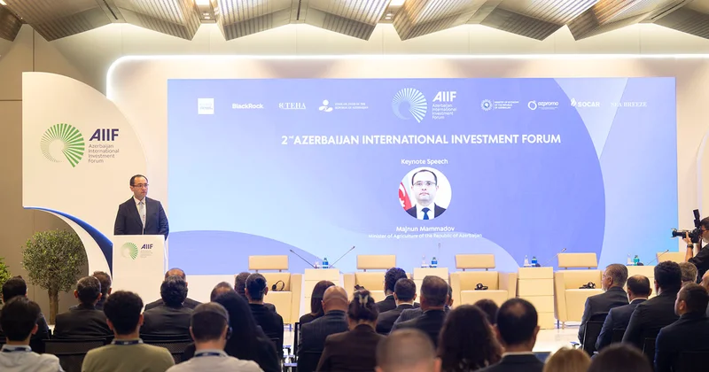 Məcnun Məmmədov panel sessiyada çıxış etdi Fotolar