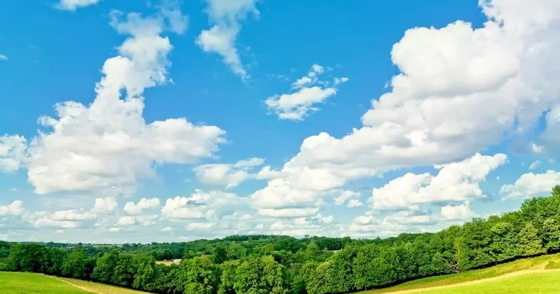 Temperatur aşağı düşür