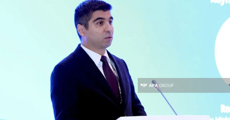 Nazir müavini: Azərbaycanda dövlət sektorunun rəqəmsallaşdırılması kifayət qədər inkişaf edib