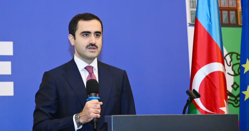 Azərbaycanda hər iki tələbədən biri ödənişsiz təhsil alır