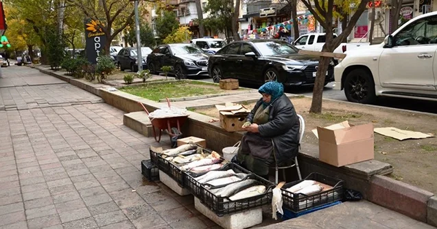 Küçə ticarəti hansı hallarda QADAĞANDIR...