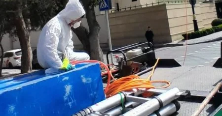 Paytaxtda Ağ Amerika kəpənəklərinə qarşı profilaktika işləri davam edir
