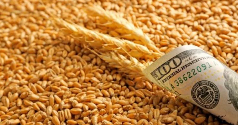 Azərbaycan buğda idxalını 16 % artırıb