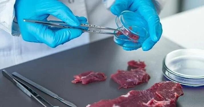 Bahalaşmaya alternativ ÇÖZÜM Süni ət satışa çıxarılacaq?