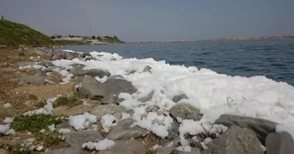 Xəzərdə naməlum köpüklənmə... Video