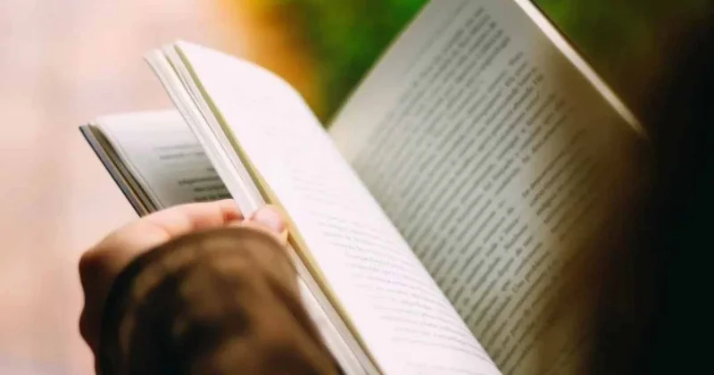 Писательница из ЮАР создала более 370 книг с помощью ИИ