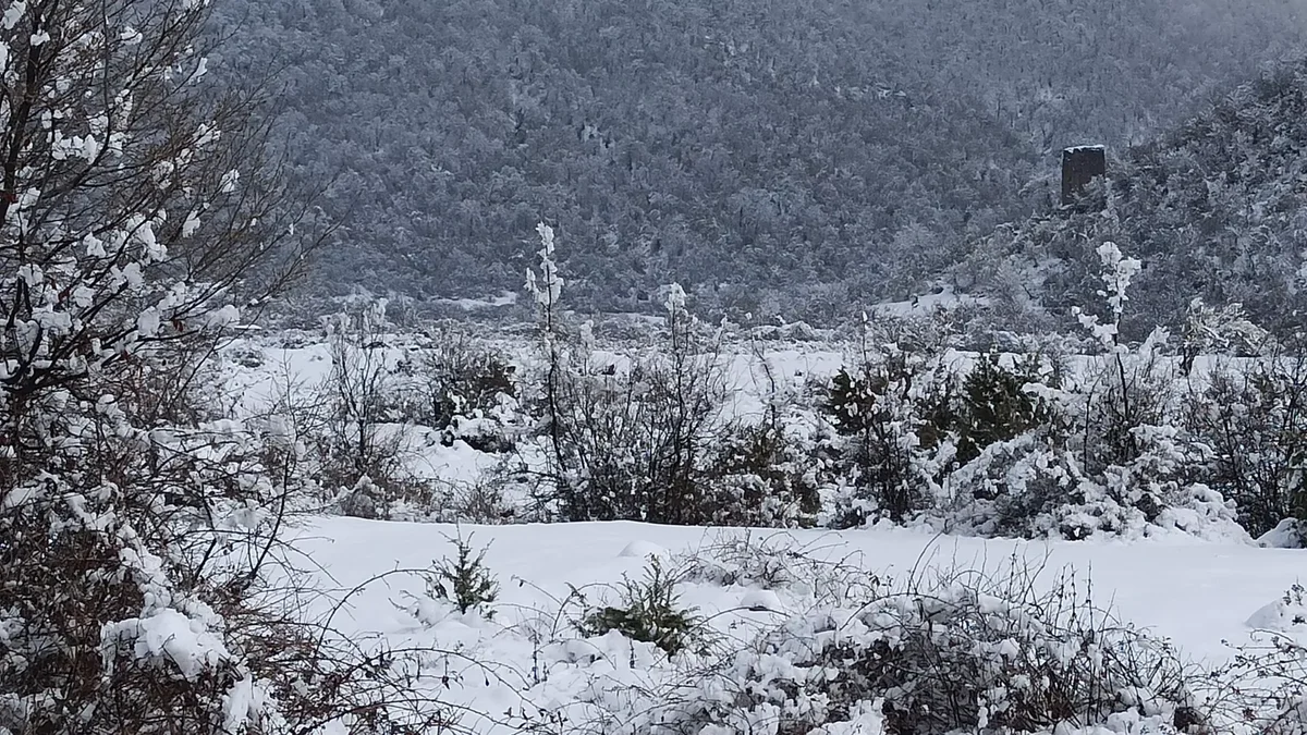 Şimşək çaxacaq, dağlıq və dağətəyi rayonlarda qar yağacaq XƏBƏRDARLIQ