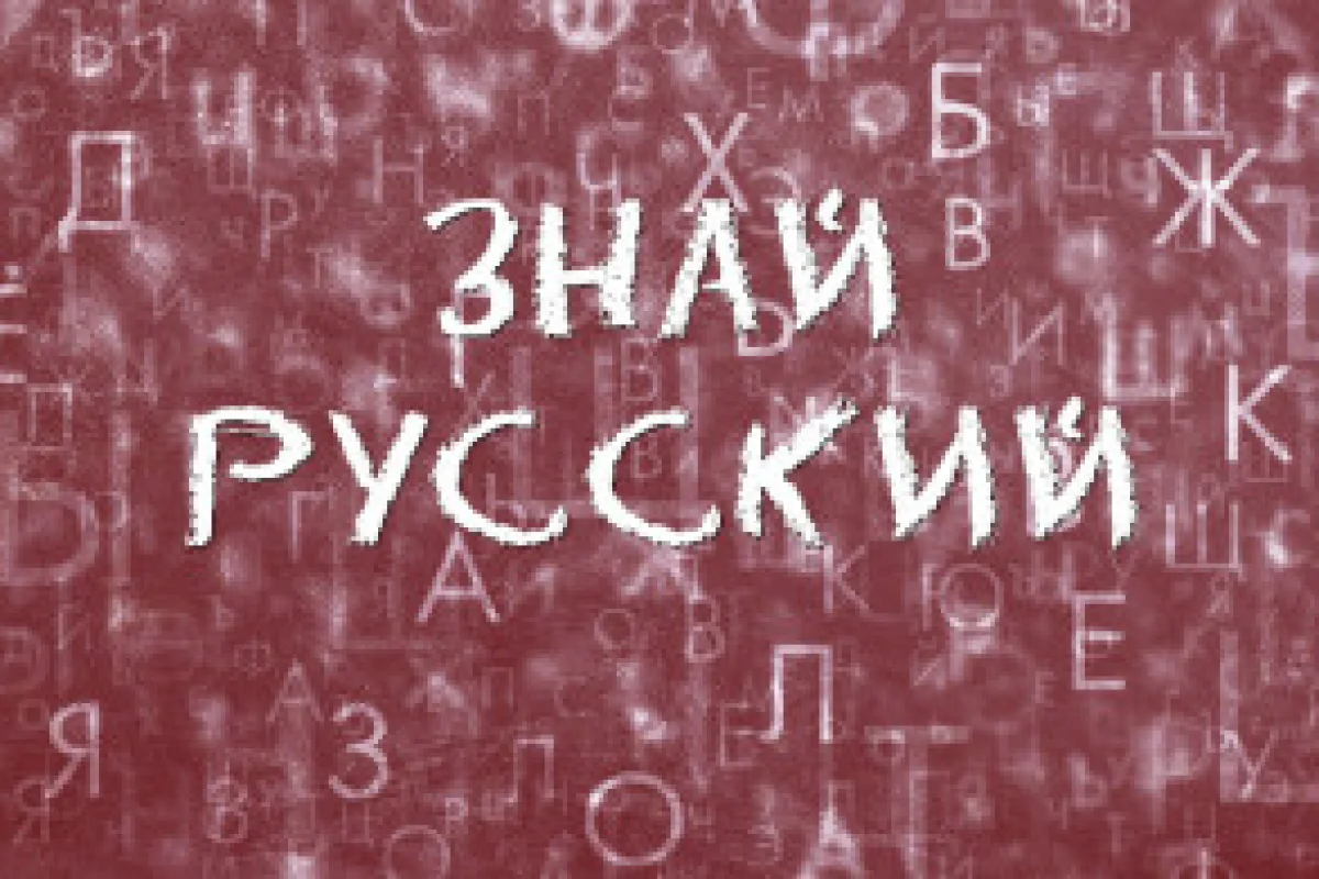 Чеченские специалисты организовали курсы для русистов из Азербайджана Haqqin