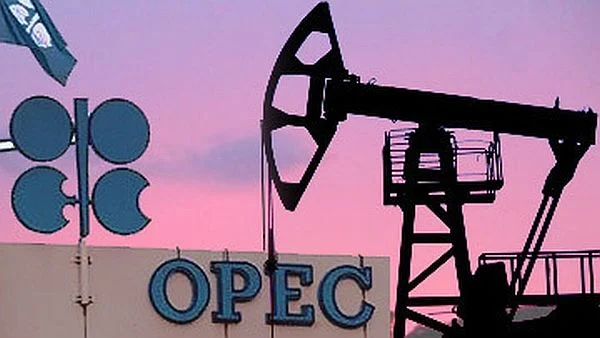 Иран на встрече ОПЕК+ выступит против новых ограничений на добычу нефти