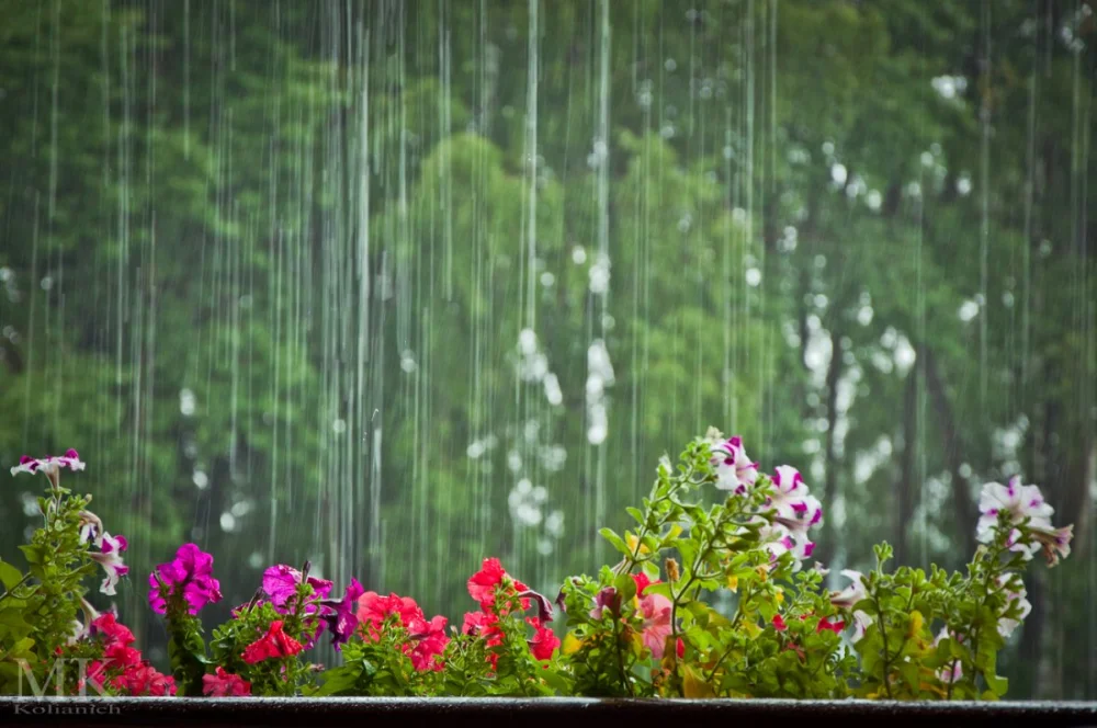 Hava kəskin dəyişir: Leysan olacaq, qar yağacaq XƏBƏRDARLIQ