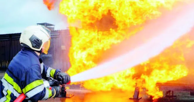 Zirzəmidə yuva salmış “cin” şüşədən necə çıxıb?