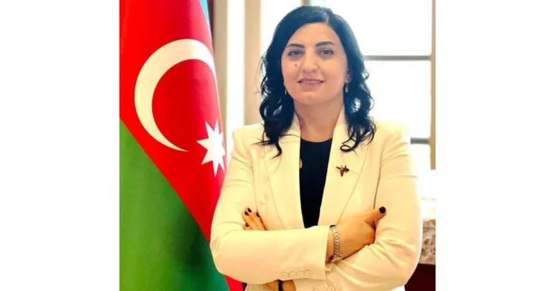 Təhsil sistemində milli dil məsələsi: müasir çağırışlar kontekstində