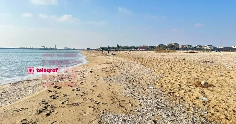 Üçgünlük uşağını dənizə atan qadının keçmiş əri cinayətin detallarını açıqladı TƏFƏRRÜAT