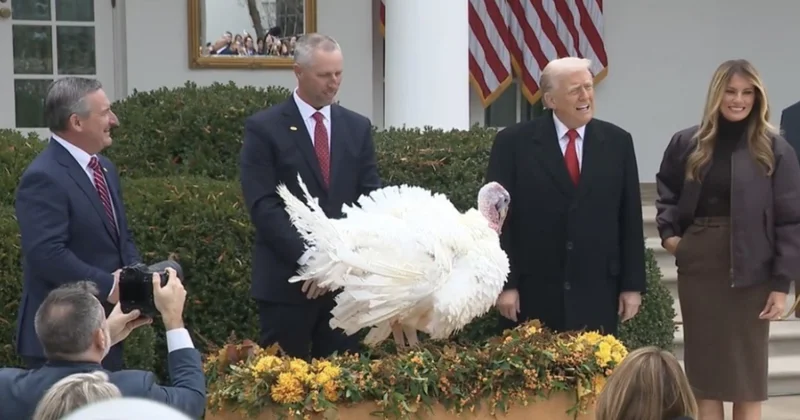 Трамп торжественно помиловал индейку Minval Politika