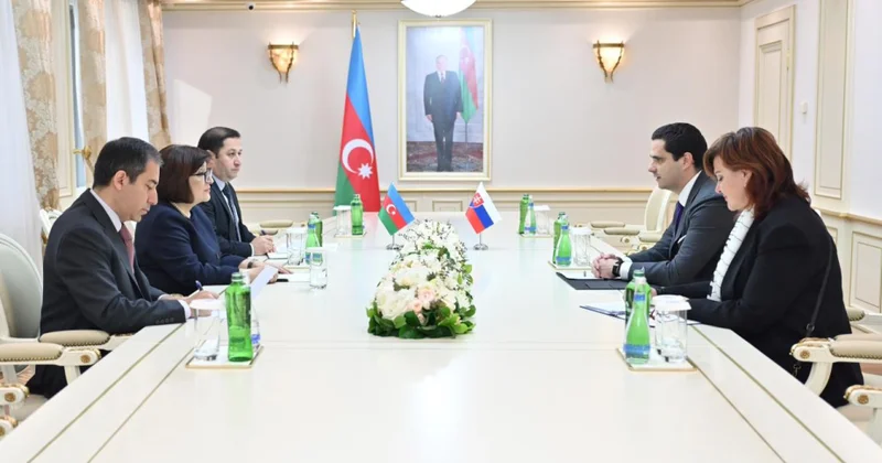 Sahibə Qafarova Slovakiyanın Azərbaycandakı səfiri ilə görüşüb