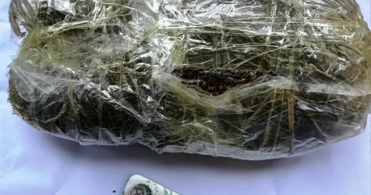 Совместная операция спецслужб выявила крупный тайник с наркотиками в Баку