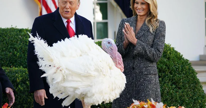 Трамп заявил о прогрессе в урегулировании конфликта в Украине