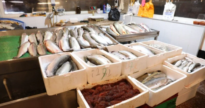 Bazarlar əhalinin zəhərləndiyi yerlərdir EKSPERT