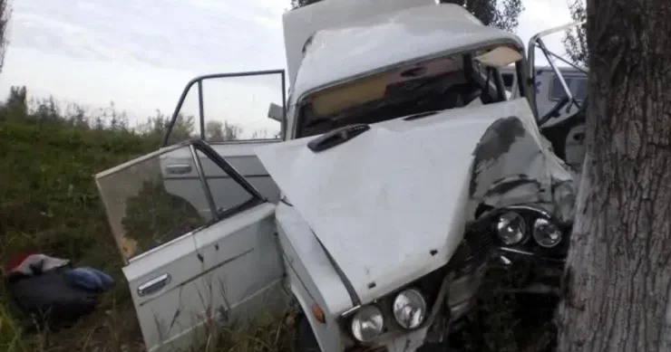 Şəkidə Jiquli ağaca çırpıldı, xəsarət alan var