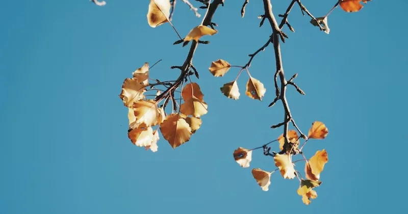 Завтра будет ветрено