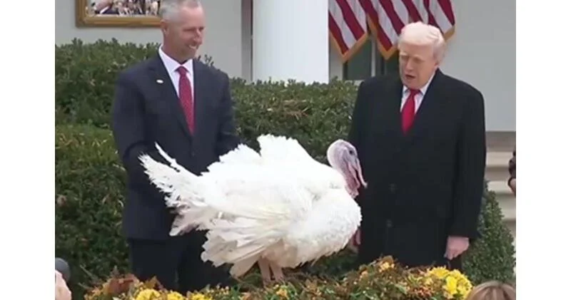 Трамп помиловал индейку на торжественной церемонии в Белом доме ВИДЕО