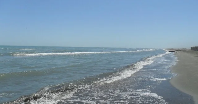 Bakıda körpəsini dənizə atan qadının keçmiş əri danışdı Ona inanmıram