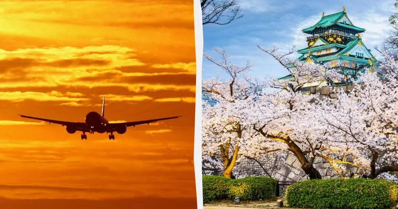 В Японии туристам из Европы предлагают бесплатные авиабилеты