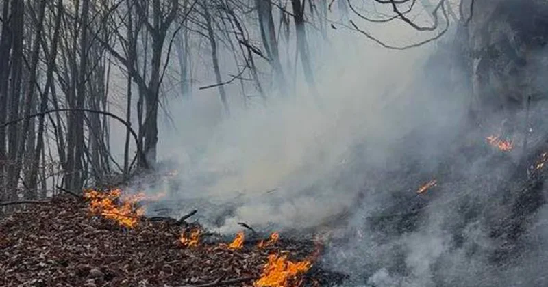 Ermənistandakı yanğınlar davam edir Video