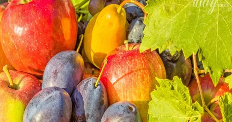 Soda, yoxsa sadə su: meyvələri necə düzgün yumaq olar?