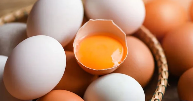 Bu rayonlarda yumurta qıtlığı YAŞANIR KONKRET