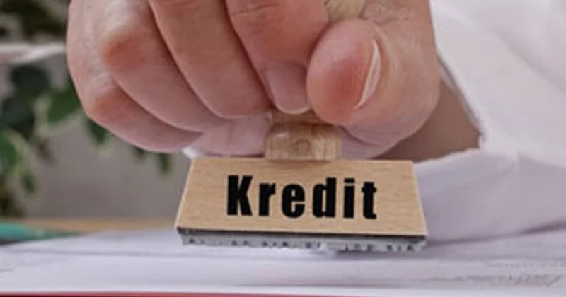 Sahibkarlar dövlət zəmanəti ilə nə qədər güzəştli kredit alıb?