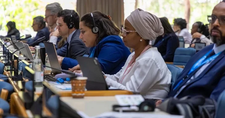 Азербайджан презентовал в Найроби подготовку и план работы WUF13