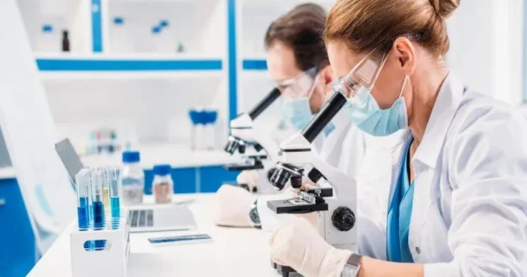 Dünyada ilk hansı heyvan yaranıb? İllərlə davam edən mübahisəyə aydınlıq gətirildi