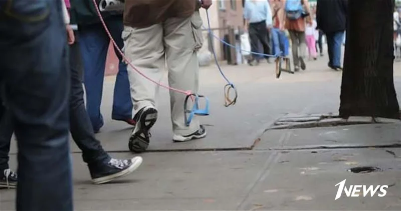 Выгуливая невидимую собаку: хобби доггинг становится глобальным ФОТО ВИДЕО