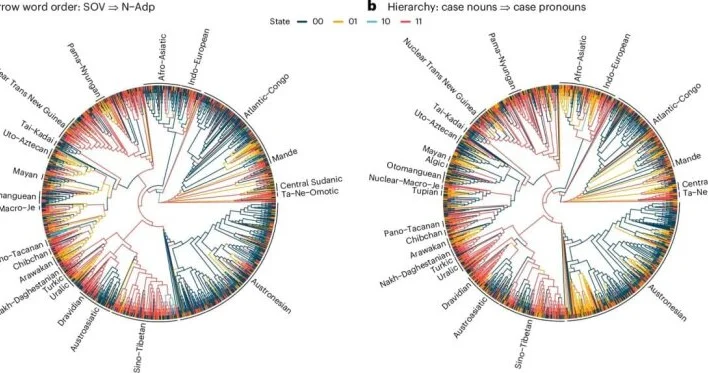 Linqvistika sahəsində böyük yeniliklər gözlənilir