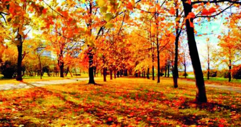 Bakıda yağmursuz, bəzi rayonlarda dumanlı...