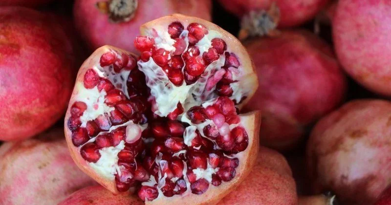 Nardakı ağ pərdə özü qədər faydalıdır