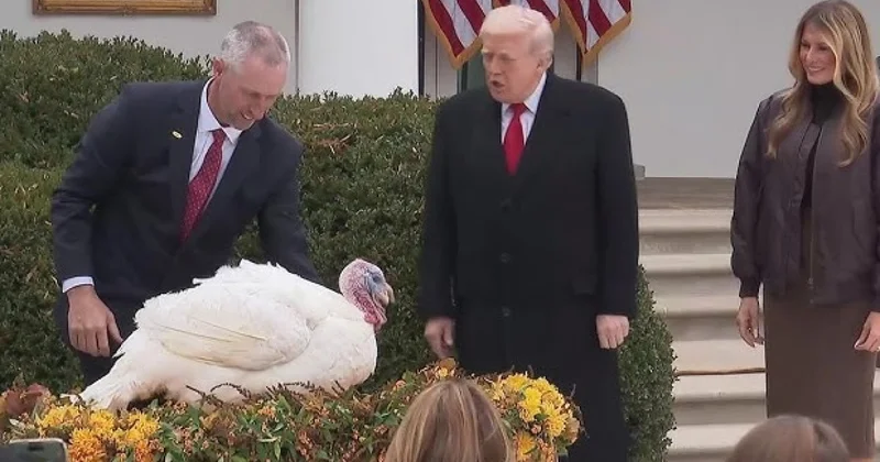 Tramp hind toyuğunu əfv etdi VİDEO