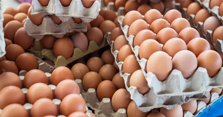 Köhnə yumurtalar vətəndaşlara yeni adı ilə satılır? Müəssisədən RƏSMİ CAVAB