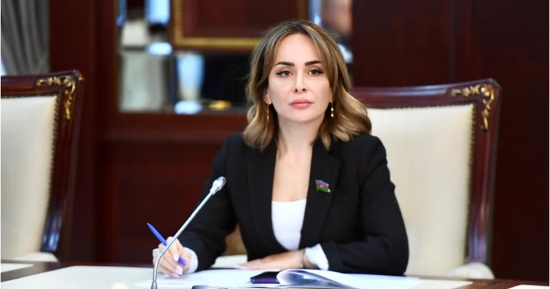 MM iki ölkə arasında vizasız rejimə razılıq verdi Nigar Məmmədova