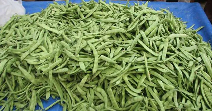 Yaşıl lobya vitaminlər mənbəyidir, xərçəng riskini azaldır