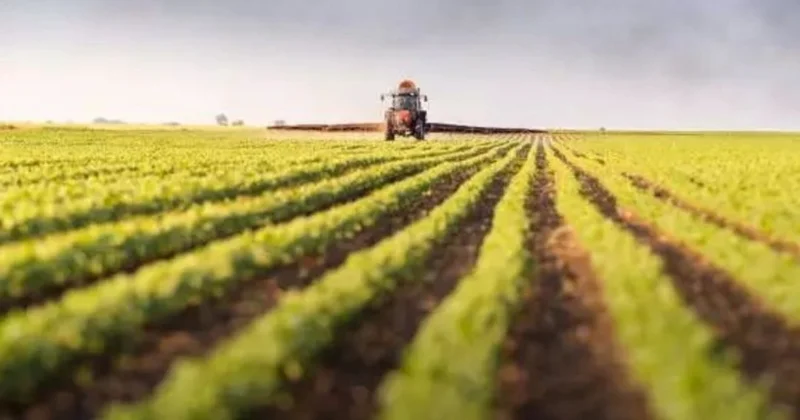 Aqrar Sığorta Fondu sığortaçı seçir