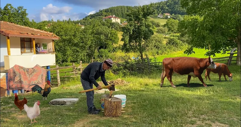 Kənddə həyat: daha sağlam, daha etibarlı