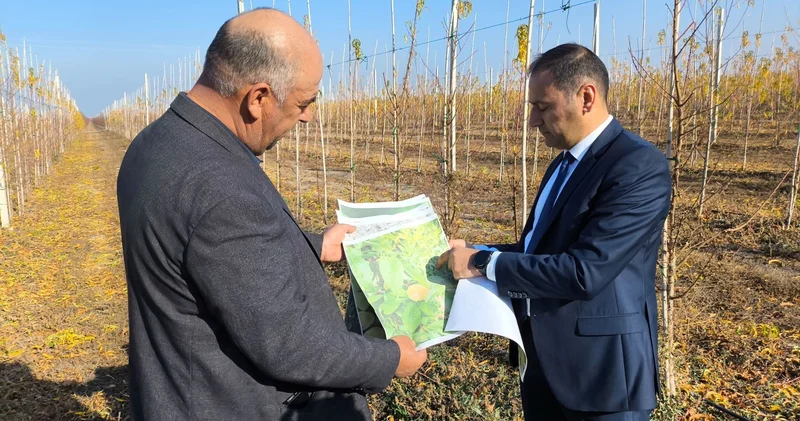 Когда страхование не формальность