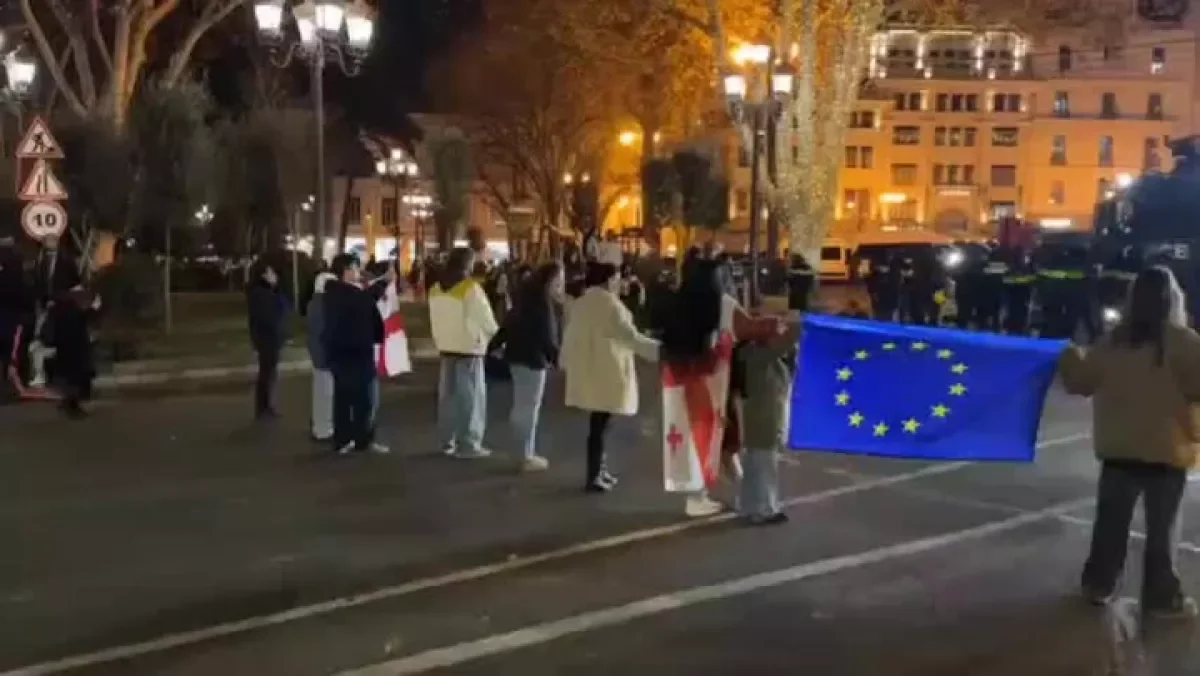 В центре Тбилиси вновь проходит акция протеста