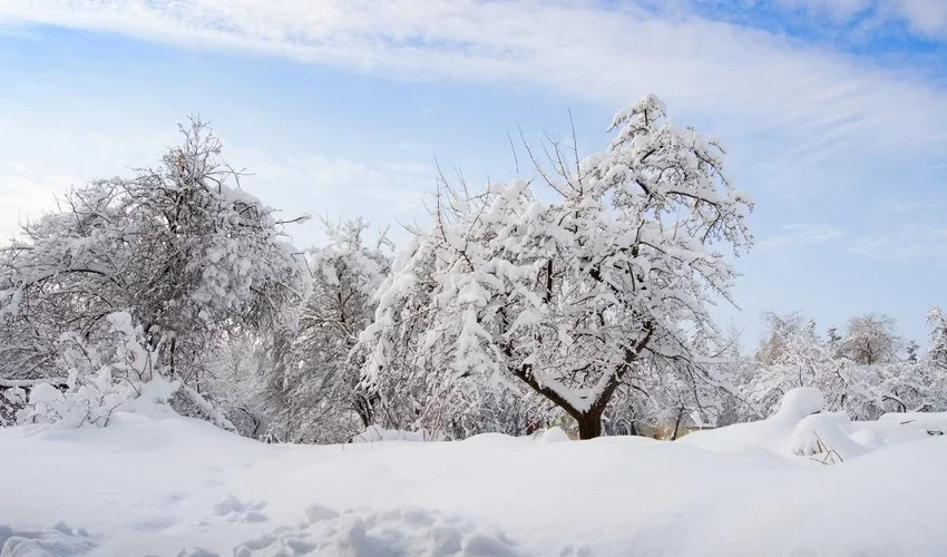 5 dərəcə şaxta, yağış, külək XƏBƏRDARLIQ