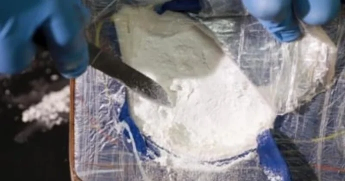 Yüz minlərlə dollar dəyərində kokain daşıyan qadın həbs edildi