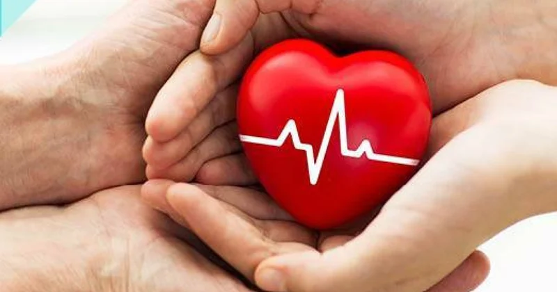 Donor orqanlar keçmiş sahibinin xüsusiyyətlərini saxlayır Araşdırma