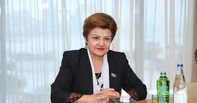 Qarabağ təcrübəsi bütün ölkə üçün model olacaq