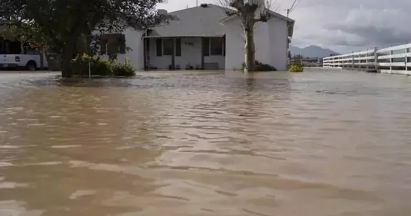 Kaliforniyada daşqınlar səbəbindən 6 bölgədə fövqəladə vəziyyət elan edilib